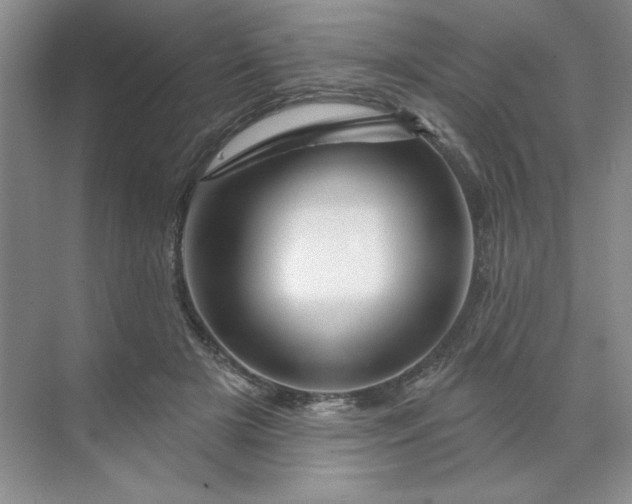 X0000070180505200606091510