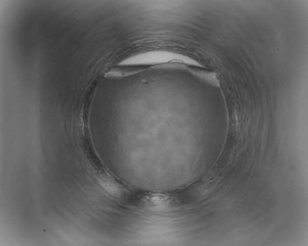 X0000070180506200606091510