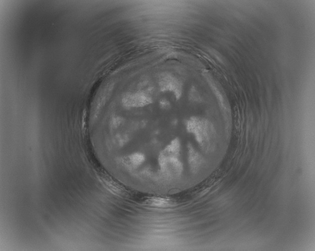 X0000070180507200606091510