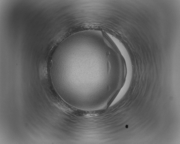 X0000070180508200606091510