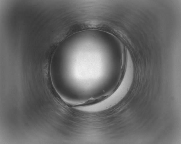 X0000070180509200606091510