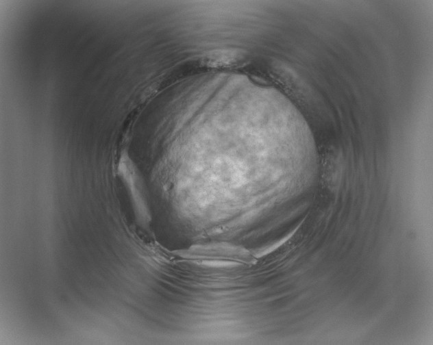 X0000070180510200606091510