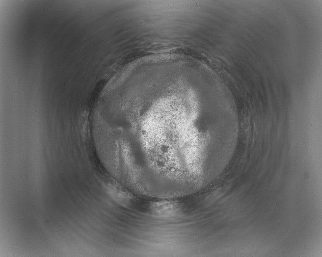 X0000070180511200606091510