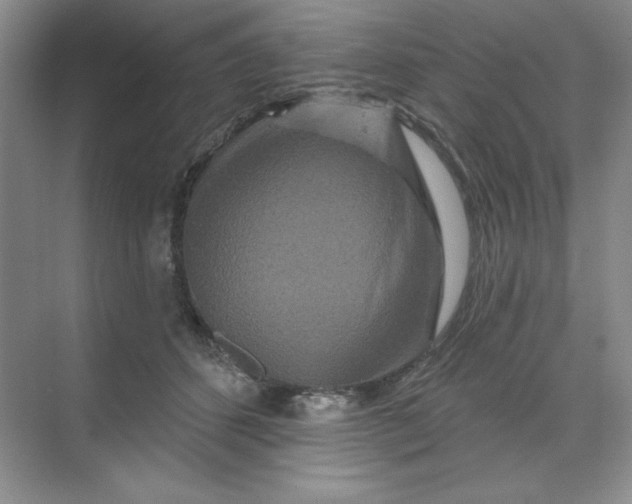 X0000070180512200606091510