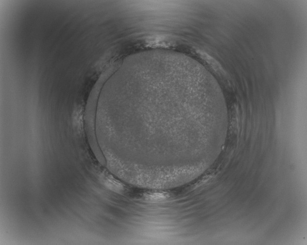 X0000070180513200606091510