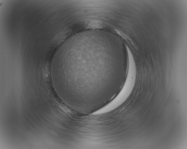 X0000070180517200606091510