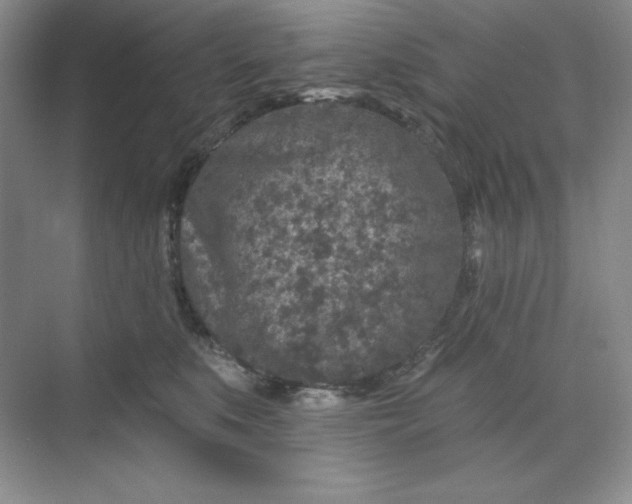 X0000070180519200606091510