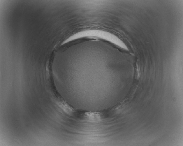 X0000070180520200606091510