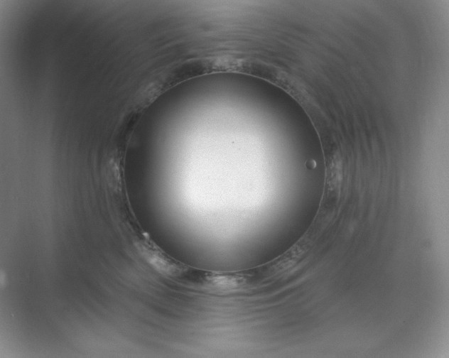 X0000070180522200606091510