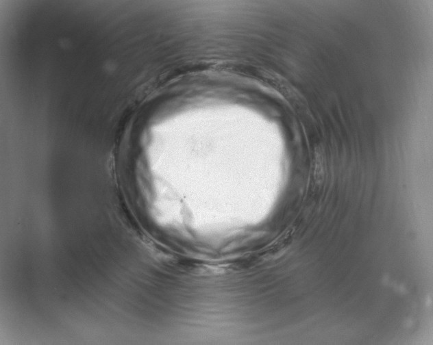 X0000070180523200606091510