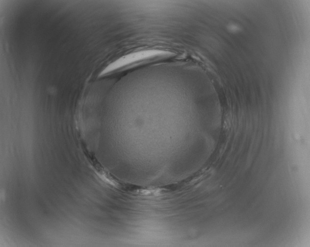 X0000070180524200606091510