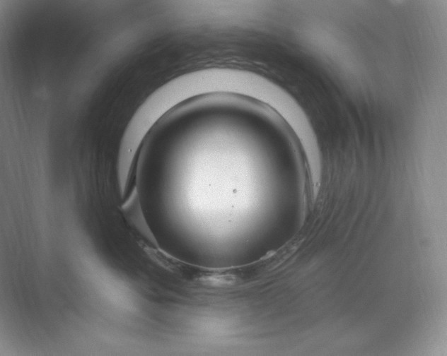 X0000070180525200606091510