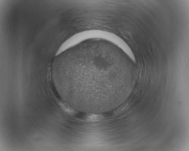 X0000070180527200606091510