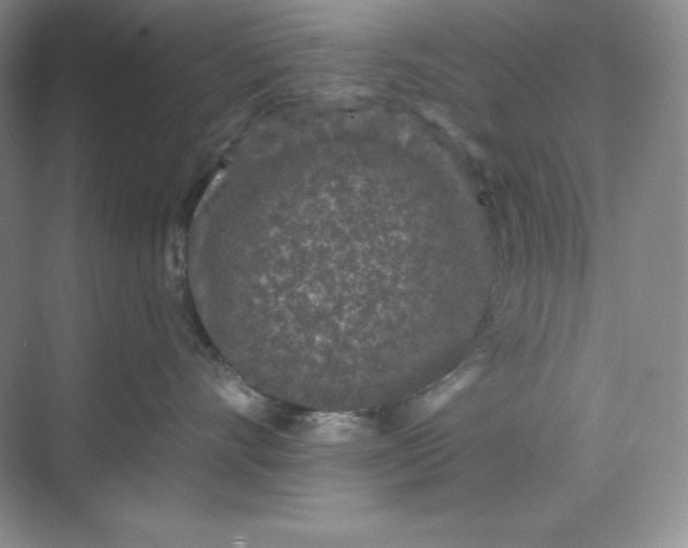 X0000070180528200606091510