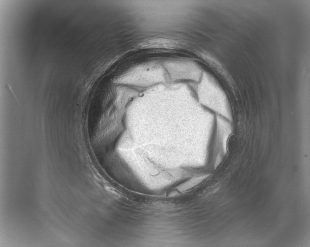 X0000070180529200606091509