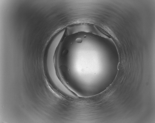 X0000070180530200606091509