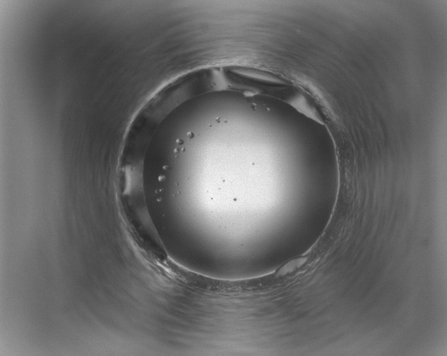 X0000070180532200606091509