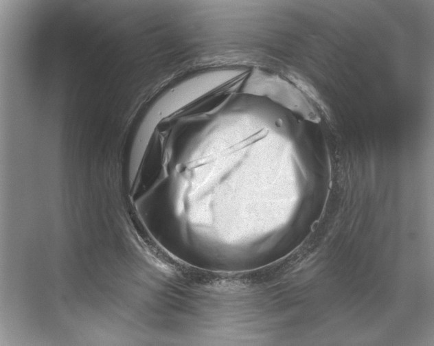 X0000070180537200606091509