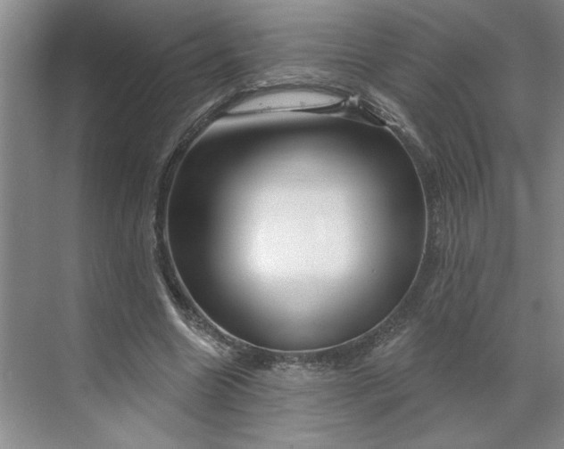 X0000070180538200606091509