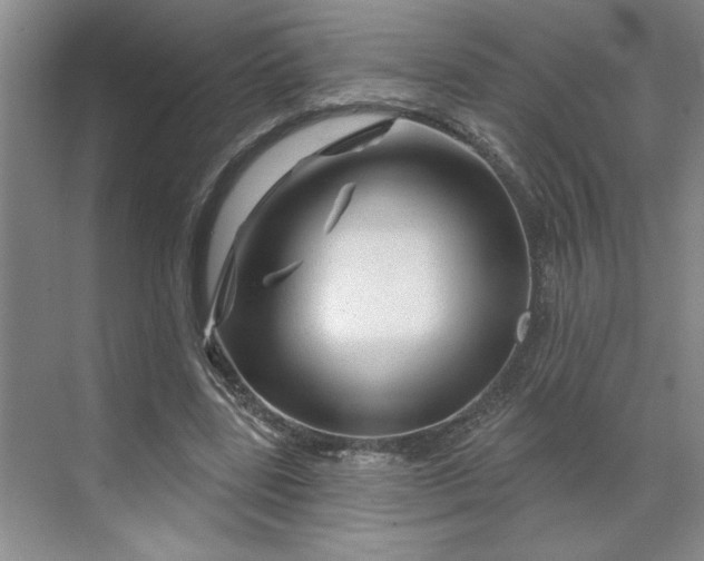 X0000070180539200606091509