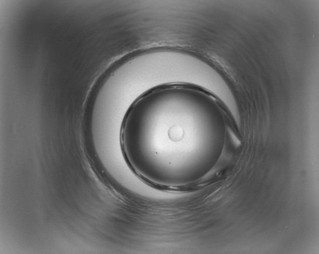 X0000070180540200606091509