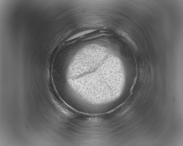 X0000070180541200606091509