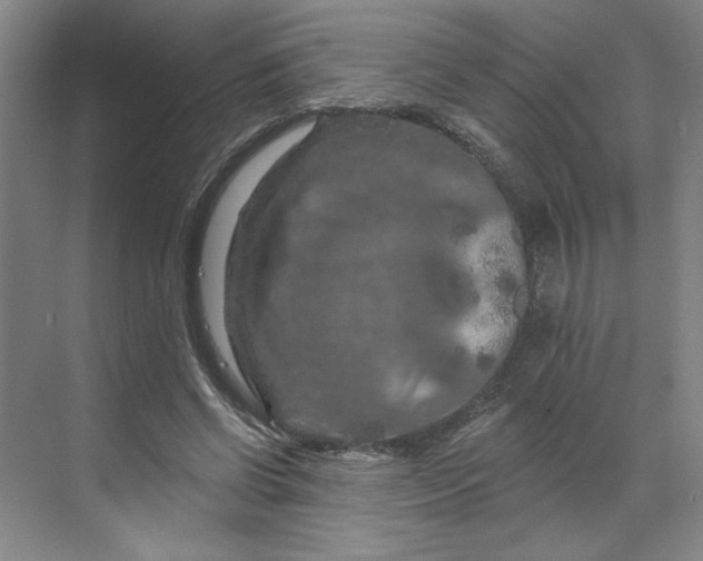 X0000070180542200606091509