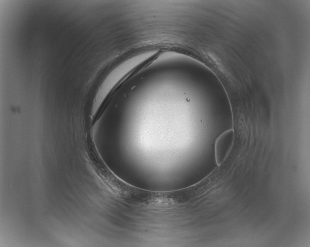 X0000070180543200606091509