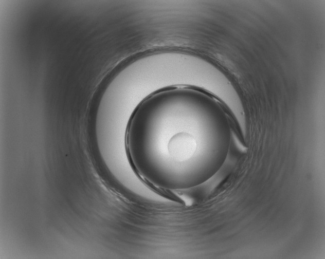 X0000070180544200606091509