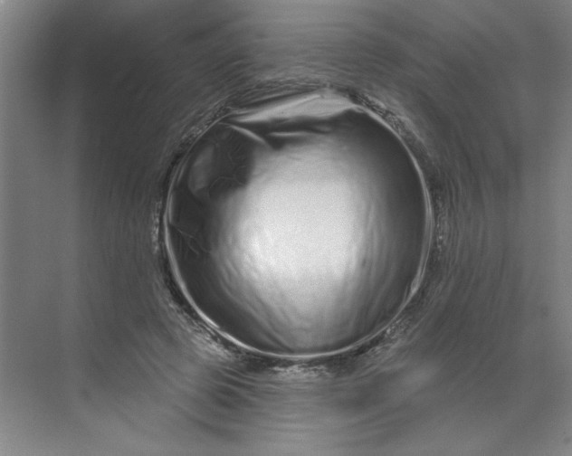 X0000070180545200606091509