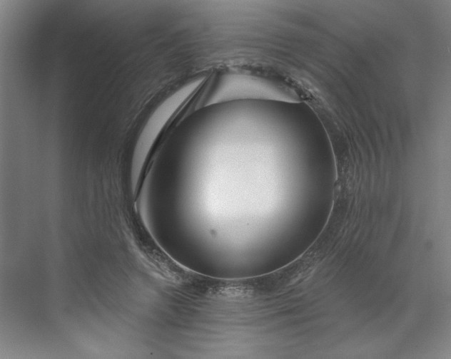 X0000070180546200606091509