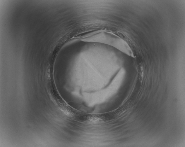 X0000070180547200606091509