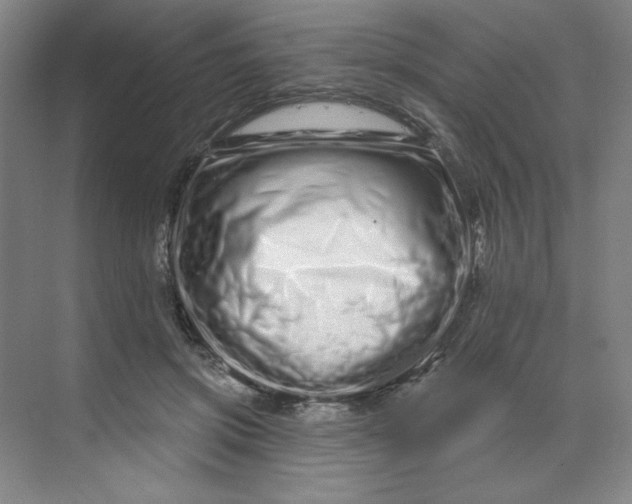 X0000070180549200606091509