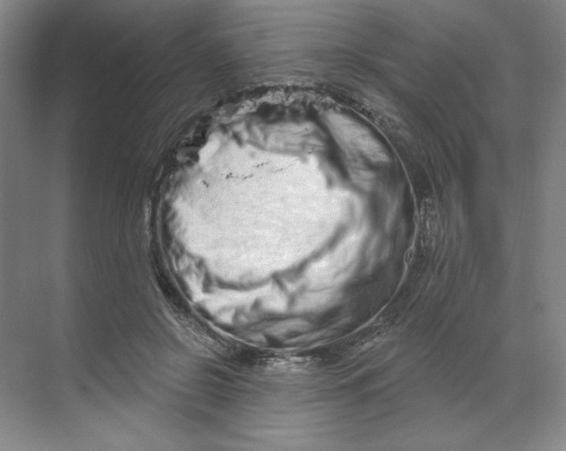 X0000070180550200606091509