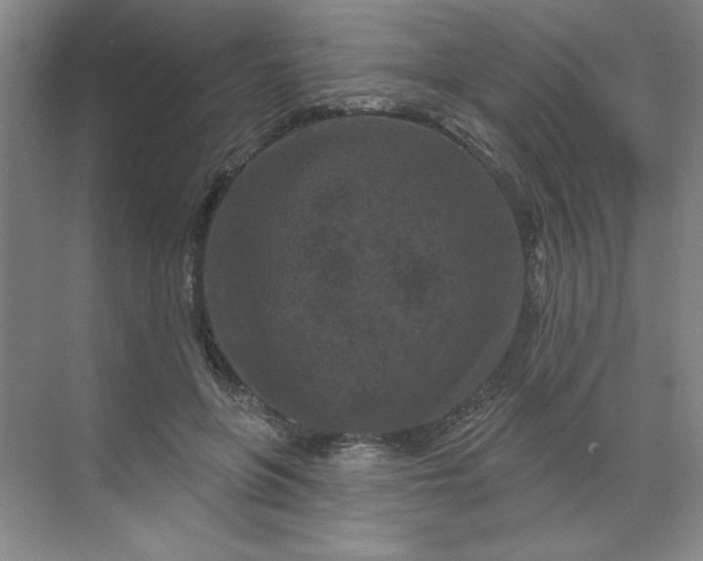 X0000070180551200606091509