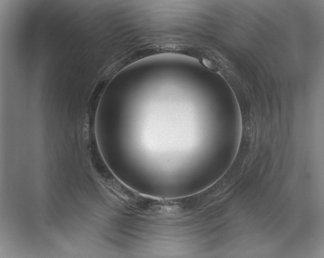 X0000070180552200606091509