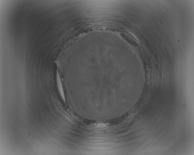 X0000070180553200606091509