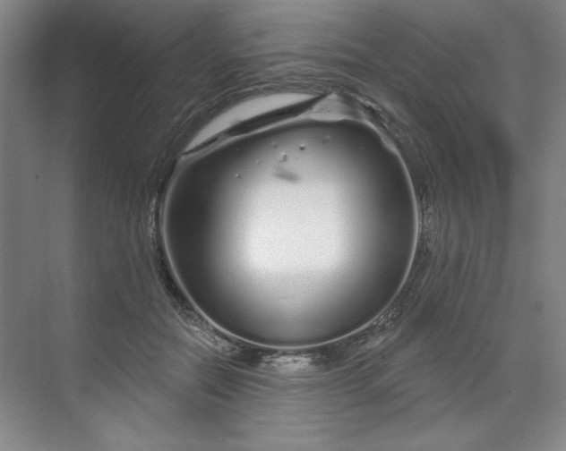 X0000070180554200606091509