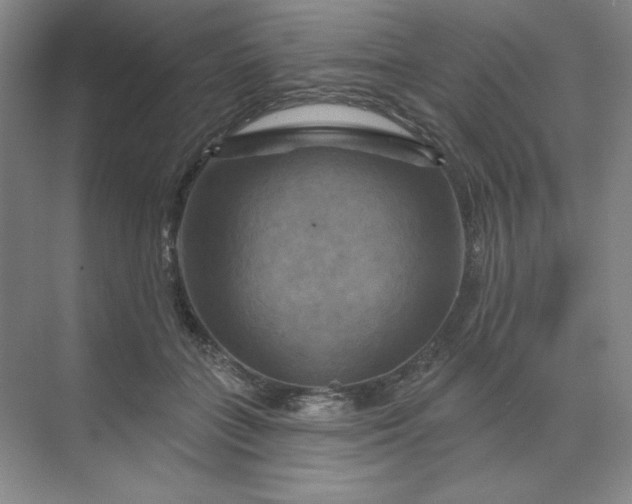 X0000070180555200606091509