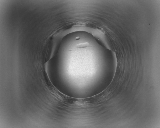 X0000070180556200606091509