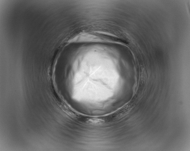 X0000070180557200606091509