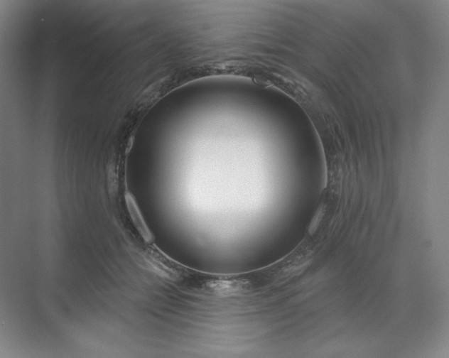 X0000070180558200606091509