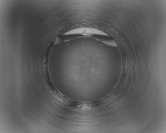 X0000070180559200606091509