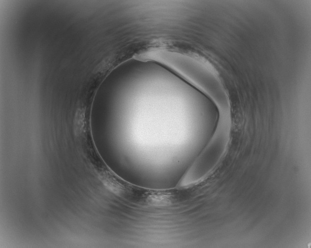 X0000070180560200606091509