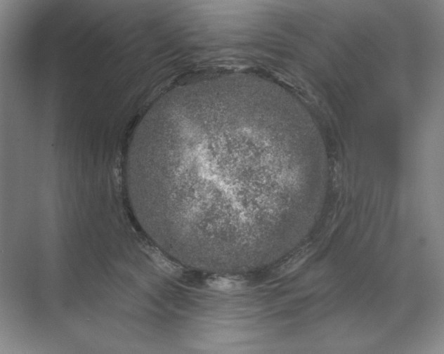 X0000070180561200606091509