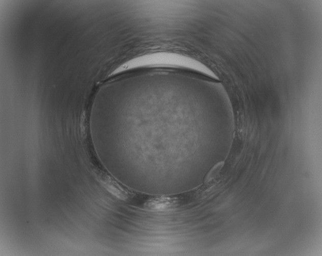 X0000070180563200606091509