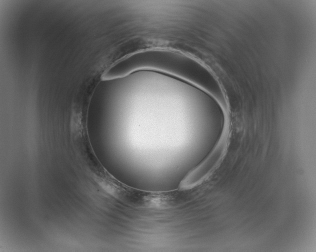 X0000070180564200606091509