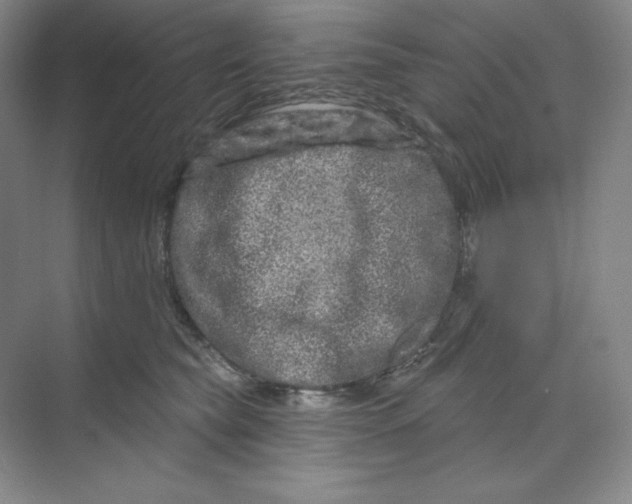 X0000070180565200606091509