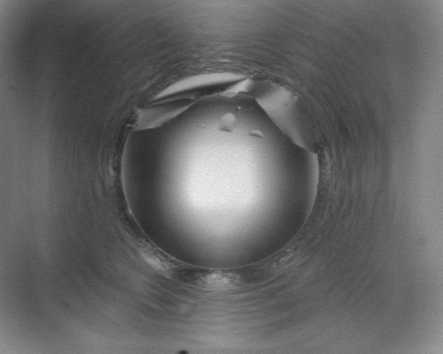 X0000070180566200606091509