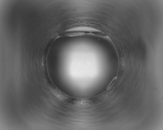 X0000070180567200606091509